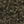 SW-SAB0073835001-S335.jpg