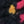 SW-SAB0074360001-SC69.jpg