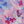 SW-SAB0078549001-S241.jpg