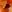 SW-SAB0079304001-S156.jpg