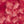 SW-SAB0084746001-S098.jpg