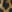 SW-SAB0084951001-SC69.jpg