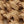 SW-SAC0017587001-S018.jpg