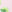 SW-SAC0017667001-S272.jpg