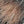 SW-SAC0018959001-S440.jpg