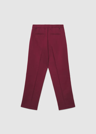 Pantaloni lunghi con pinces