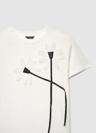 STILLG-SAB0086898001-S024-DETAIL1.jpg